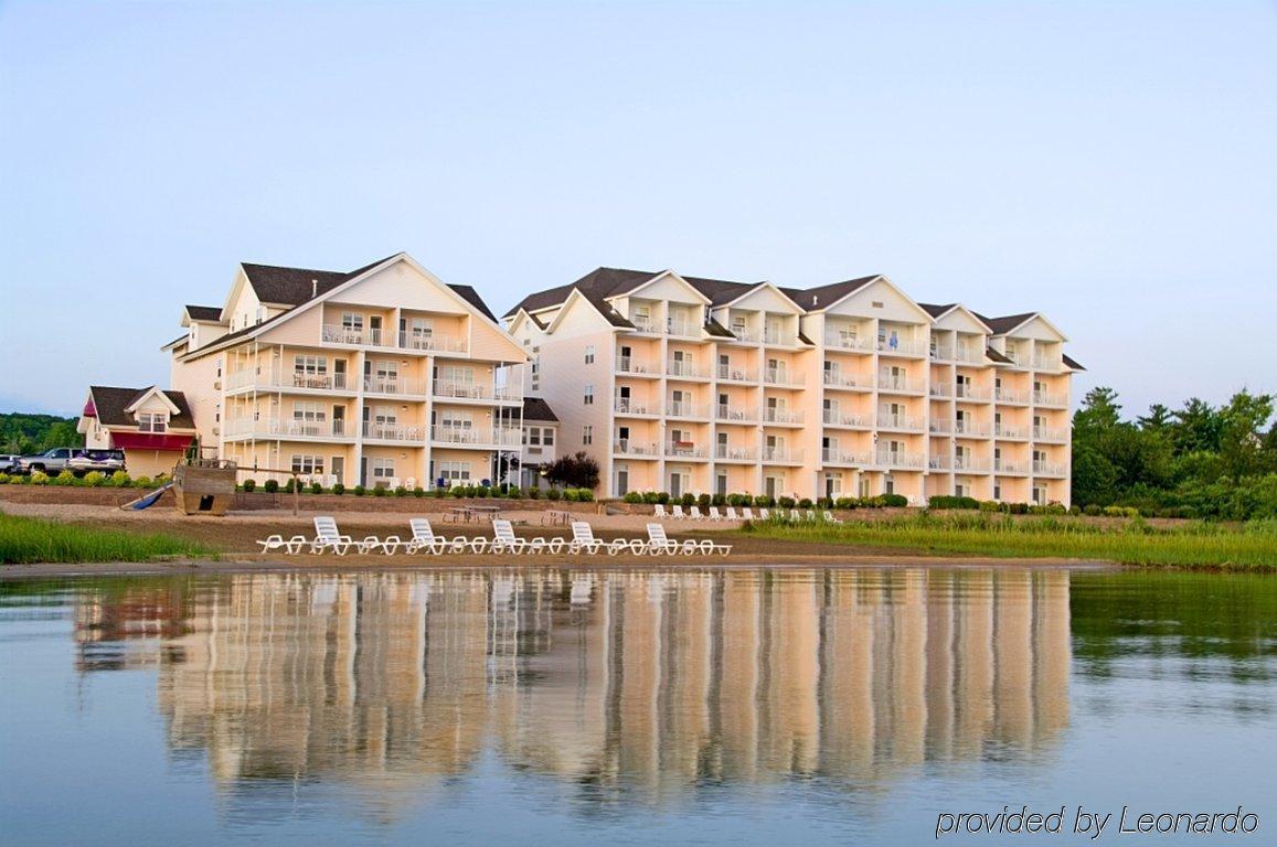 Cherry Tree & 3* Traverse City